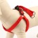 COMPORTS COLLECT COMBODY, 1.5 cm, Osh 36-50 cm, og 40-55 cm, red