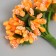 A set of decorative bouquets (12 pcs) "Berries" length 9.5 cm, orange