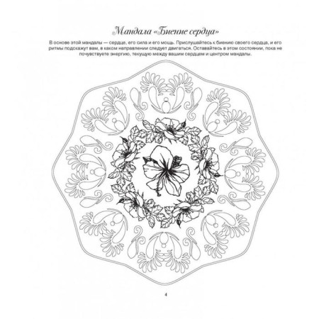 Mandalas. Secrets of nature-3