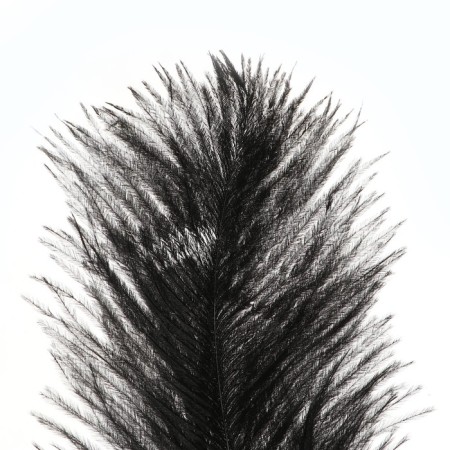 Feather for decor, size: 25-30 cm, black color-3