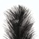 Feather for decor, size: 25-30 cm, black color