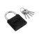 The castle of the hinged "Allur" VS1Ch-4506, the handle d = 8 mm, 5 keys