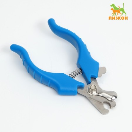Small Economy Coogers, 12 x 4.5 x 1.4 cm, blue