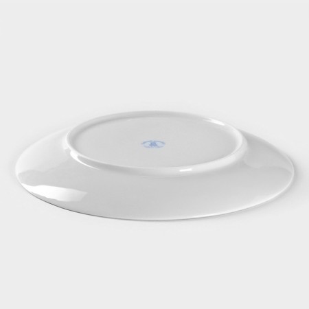 Porcelain plate "Fiery snake", D = 24 cm-2