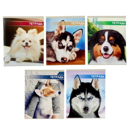 Notebook of 48 sheets in Calligrata Call "dog muzzles", covered cardboard cover, block No. 2, whiteness 75% (gray sheets), mix