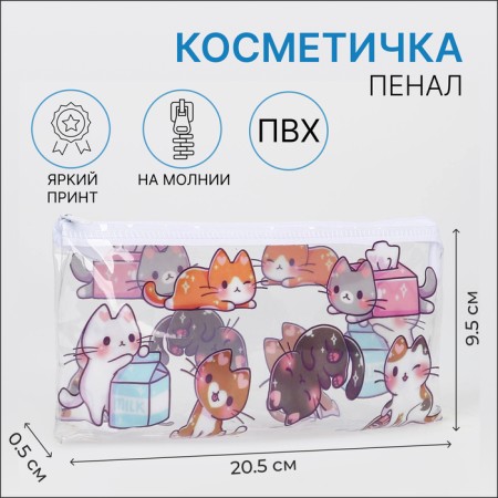 Cosmetic bag-penete on lightning, PVC, transparent color