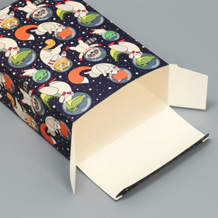 Gift folding box, packaging, “Cosmo Mir”, 16 x 23 x 7.5 cm-3