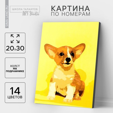 Picture on numbers on canvas with a subframe "Puppy Corgi", 30x20 cm