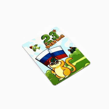 Gift set "Kote. 23 February ", magnet + keychain, 10 x 14 cm-4