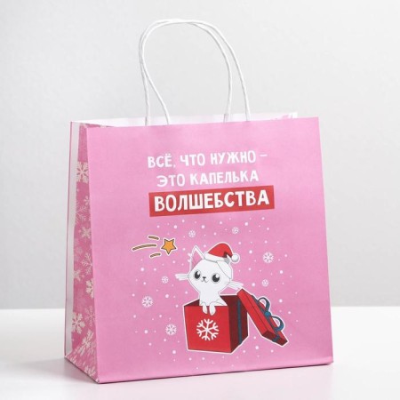 Gift Package "Drop of Magic", 22 x 22 x 11 cm, New Year