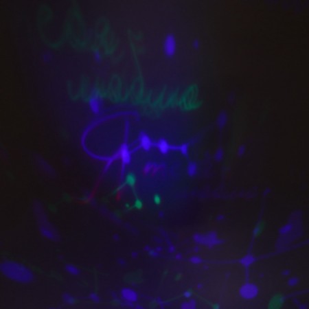 Nightlight "I love you", 11.7 x 10.8 cm-12