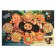 Board game-carrier "Cheburashka. 2 in 1 ", 330 × 217 × 27 mm