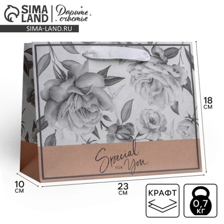 Gift Craft horizontal package, packaging, Special for You, MS 23 x 18 x 10 cm