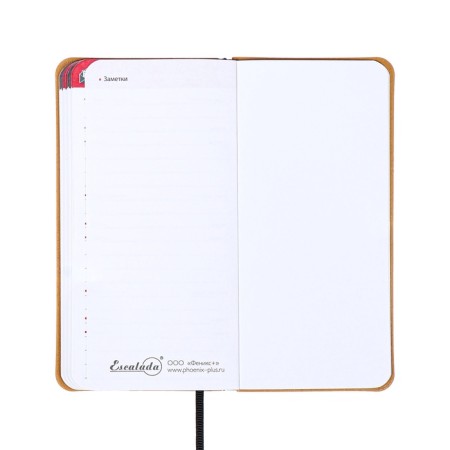 Book D/PBS LOG and Password A7+ 56 L Escalada, soft region, leather claim, TIS F, Las, BL 70g/m², black-17