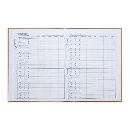 School diary for grades 1-11 "Stranger", integral cover, matte lamination, 40 sheets-5