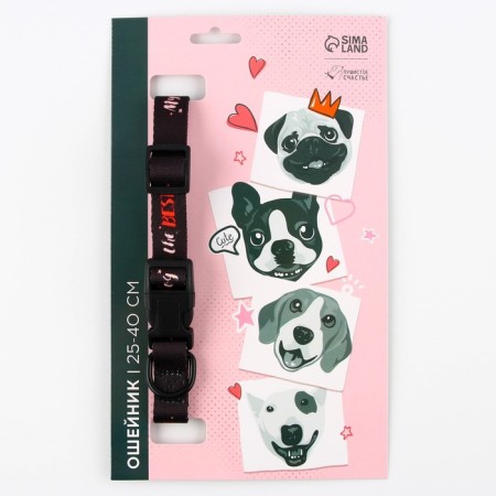 Collar My Dog is the Best, fastener - Fastex, 2 cm 25-40 cm-1