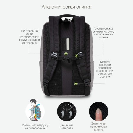 Youth backpack 43 x 29 x 15 cm, Grizzly, ergonomic back, laptop compartment, black/gray-2
