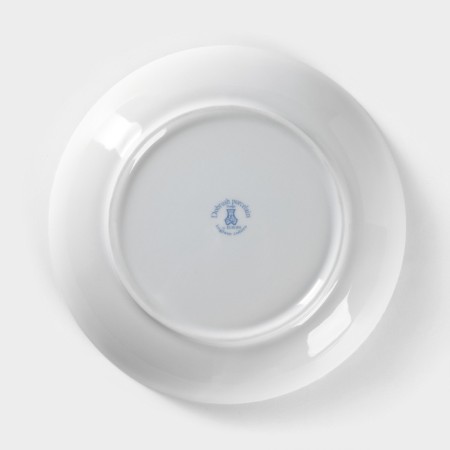 Porcelain plate "Winter Forest", 700 ml, d = 20.5 cm-3
