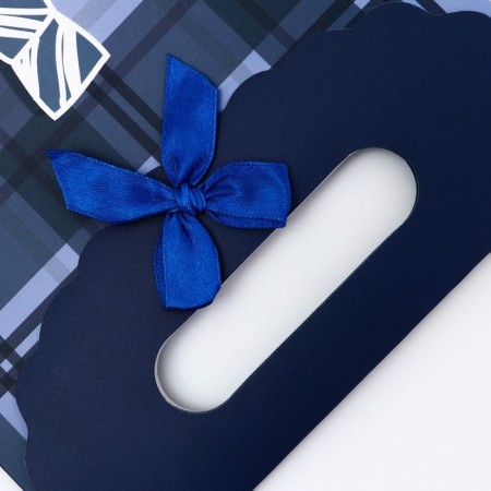 Gift box-package, packaging with a cut handle, "Male Tie", 19 x 9 x 27 cm-3
