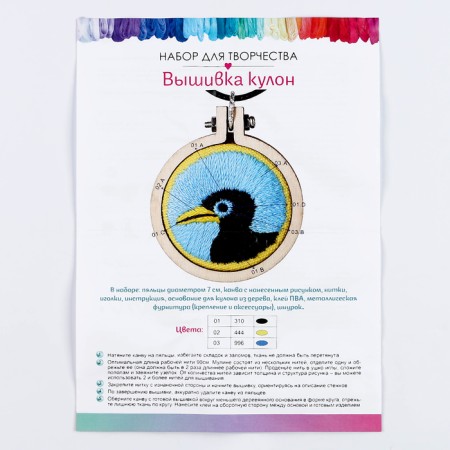 Set for creativity. Embroidery pendant "Brave cormorant"-4