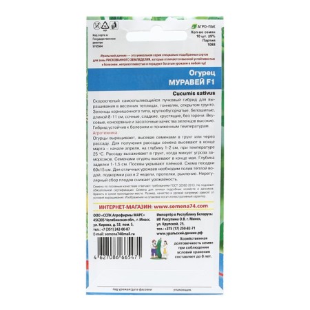 Seeds Cucumber Ant F1 10 pcs-5