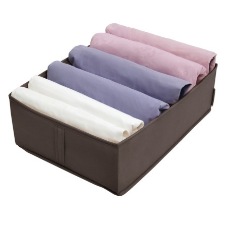 Organizer "Prague", 50x36x16 cm, 2 cells