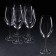 A set of glass for wine Milvus, 510 ml, 6 pcs