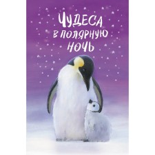 Чудеса в полярную ночь. Х. Вебб