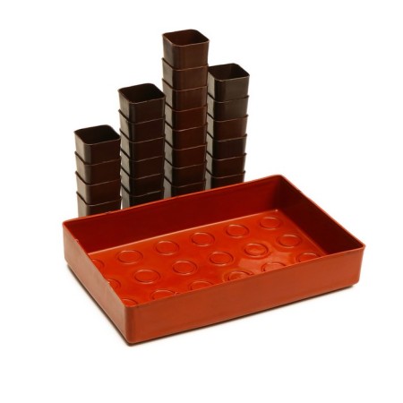 Set for seedlings: glasses of 70 ml (24 pcs), pan 29.5 × 20 cm, mix-6