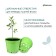 Pot for seedlings, 5 l, d = 22 cm, h = 18 cm, green, greengo