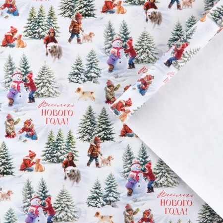 Glossy packaging paper "Funny New Year", 60 x 90 cm, New Year-1