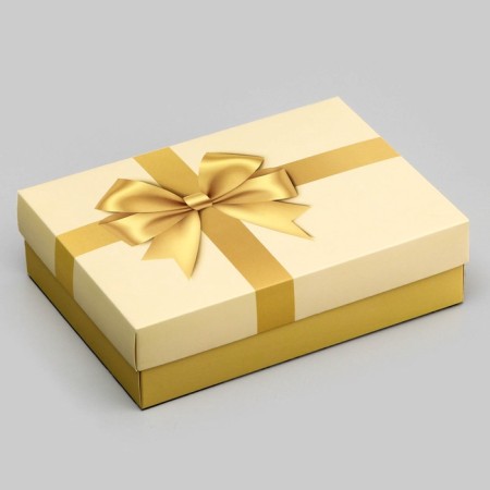 Gift box team "Golden Balt" 21 x 15 x 5.7-2