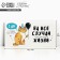 Money envelope "Happy Birthday!" from a cat, 16.5 × 8 cm