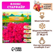 Флокс "Старфайр" р-р I, 2 шт,