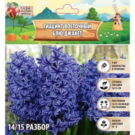 Hyacinth East Blue Jacket, rr 14/15, 4 pcs, autumn 2024
