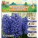 Hyacinth East Blue Jacket, rr 14/15, 4 pcs, autumn 2024