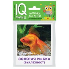 Smart baby. Aquarium fish. Set of cards for children