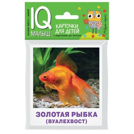 Smart baby. Aquarium fish. Set of cards for children