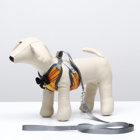 A set of ammunition with a soft harness, s, leash 120 x 1 cm, Osh 20-40 cm, og 30-44 cm, yellow