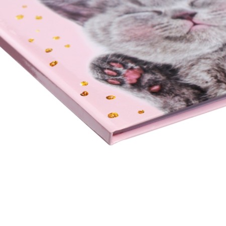 Universal diary for grades 1-11, Kisa, solid cover 7BC, glossy lamination, 40 sheets-3