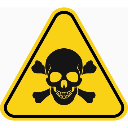 Decorative sign (poster) "skull and bones" 30x27 cm, plastic