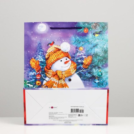 Gift package "Snowman", 26 x 32 x 12 cm-1
