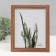 Photo frame plastic 20x25 cm "Golden Colos" 23.4x28.5 cm