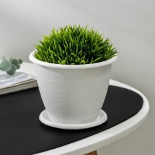 Pot with the Podon 