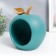 Souvenir Polystone stand "Green Apple" 20.5x16x18 cm