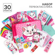 A set of first grader in the folder, cats of aristocrats, 30 items