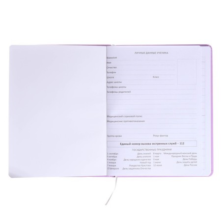 Universal diary for grade 1-11 "Mordashka.fanda", hard cover, artificial leather, foam rubber, liesse, 80 g/m2-3