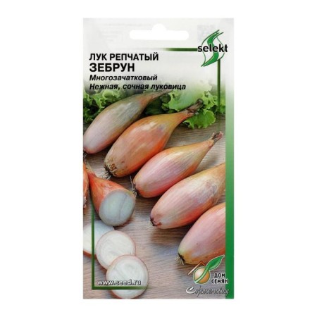 Onions are onion "zebrun", 70 pcs.