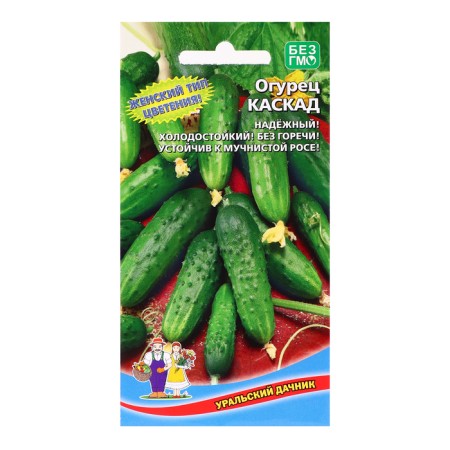 Cucumber seeds "Cascade", 12 pcs
