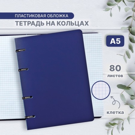 Notebook on rings A5 80 sheets in Calligrata cage blue, plastic cover, offset unit